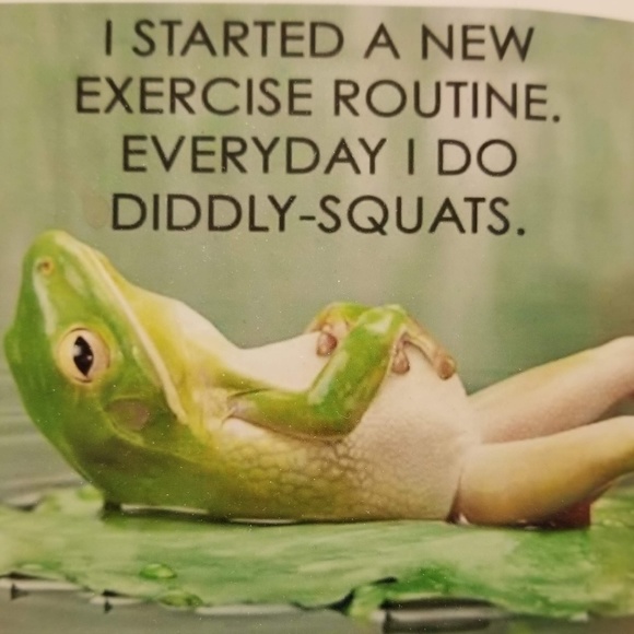 Meet your Posher, Rita - Picture 5 of 7